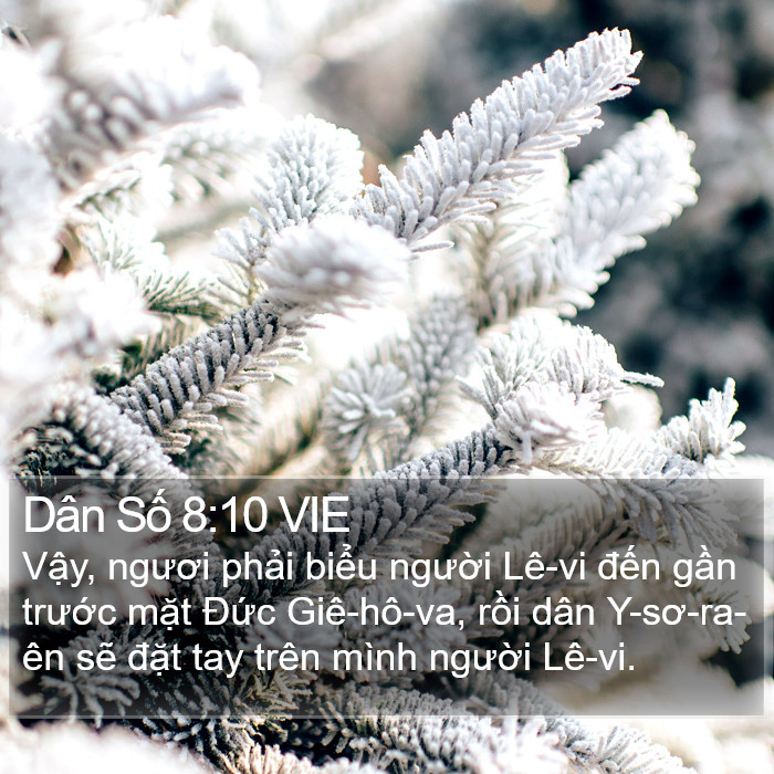 Dân Số 8:10 VIE Bible Study