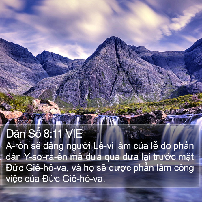 Dân Số 8:11 VIE Bible Study