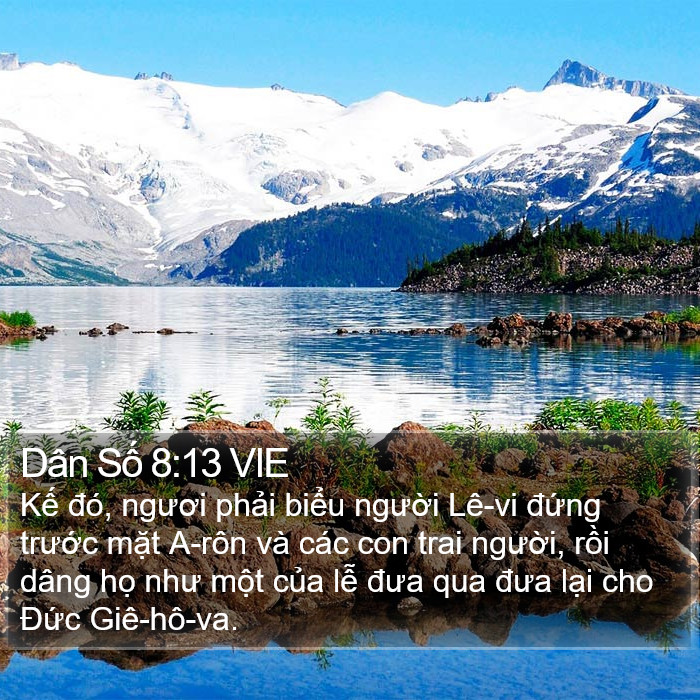 Dân Số 8:13 VIE Bible Study