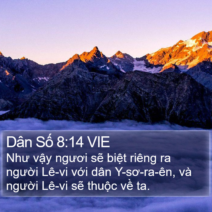 Dân Số 8:14 VIE Bible Study