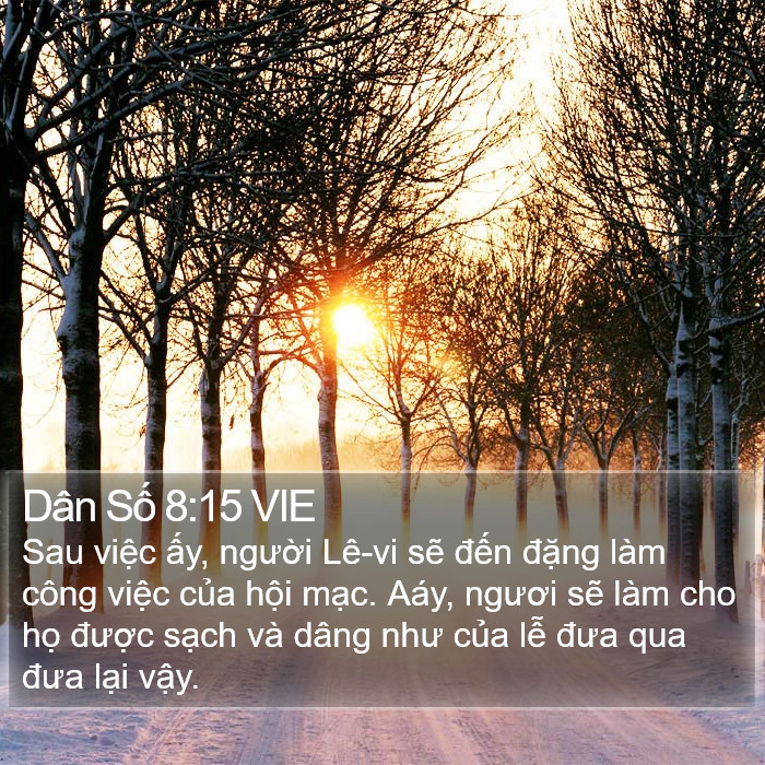 Dân Số 8:15 VIE Bible Study