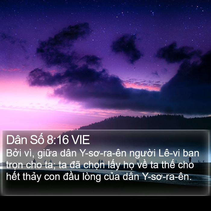 Dân Số 8:16 VIE Bible Study