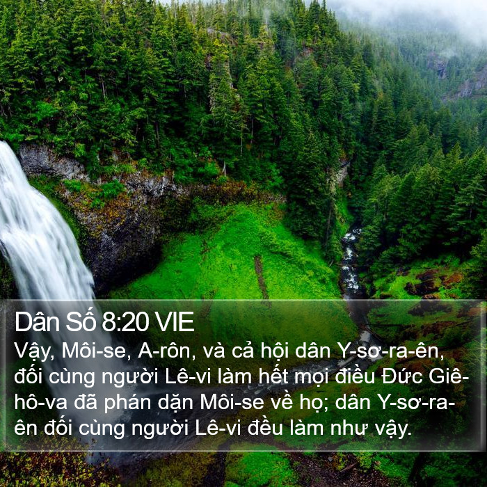 Dân Số 8:20 VIE Bible Study