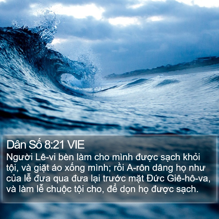 Dân Số 8:21 VIE Bible Study