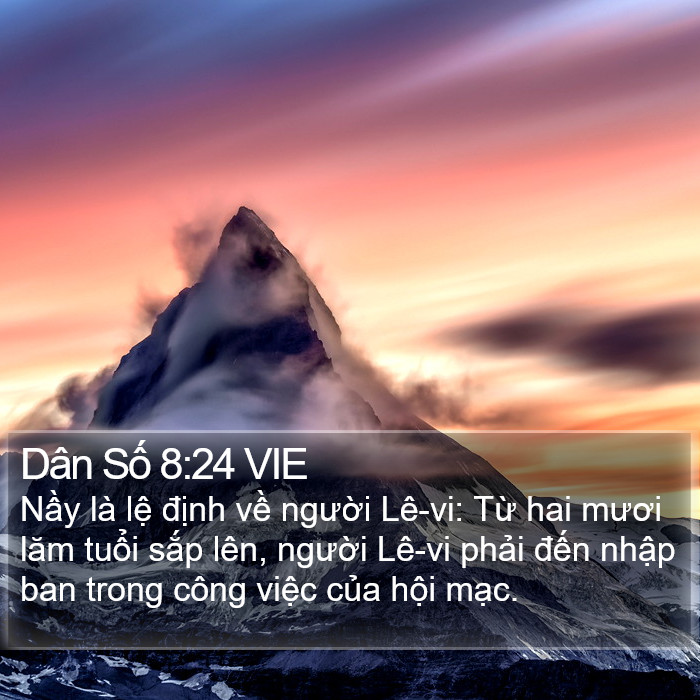 Dân Số 8:24 VIE Bible Study