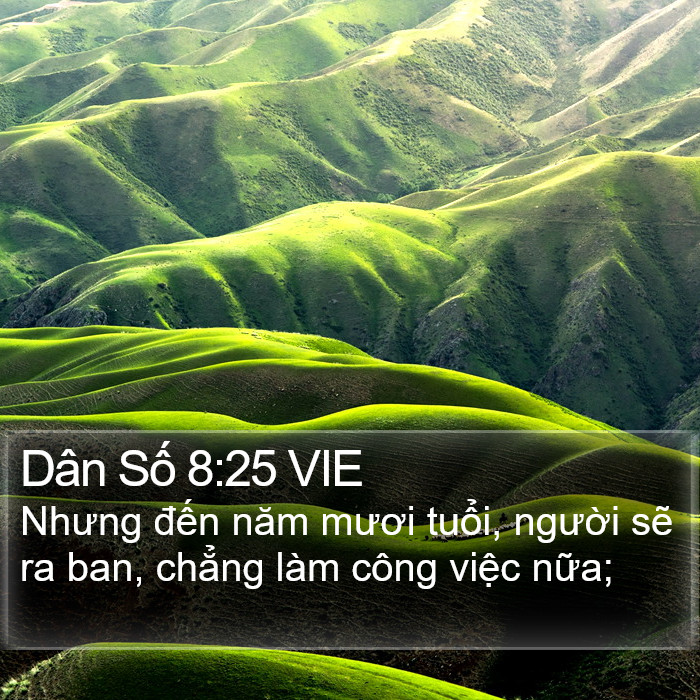 Dân Số 8:25 VIE Bible Study