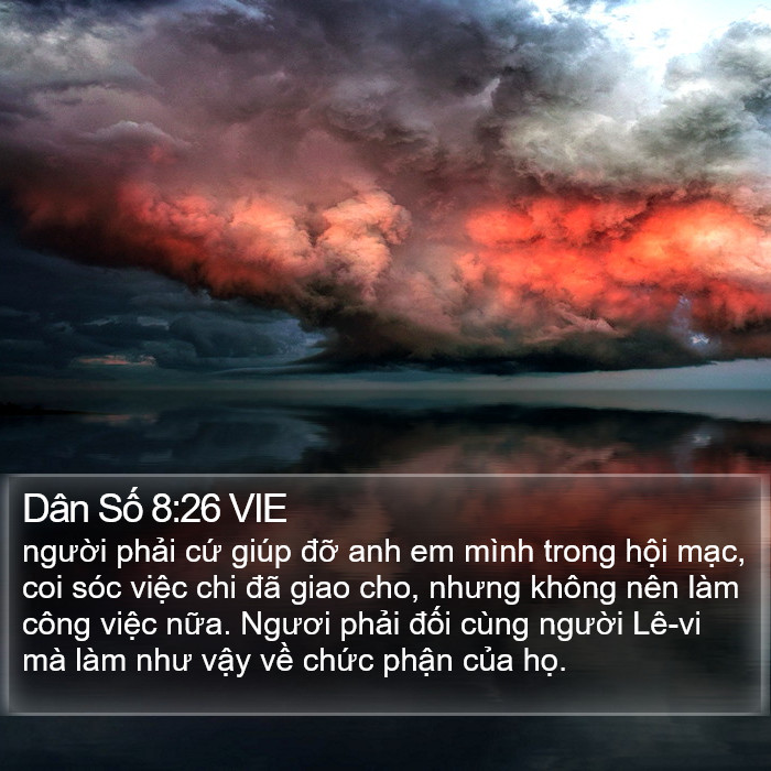 Dân Số 8:26 VIE Bible Study