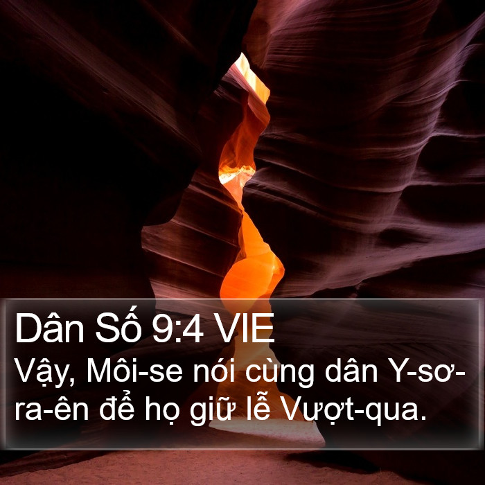 Dân Số 9:4 VIE Bible Study