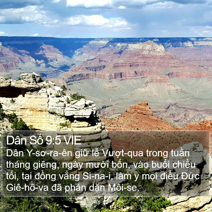 Dân Số 9:5 VIE Bible Study