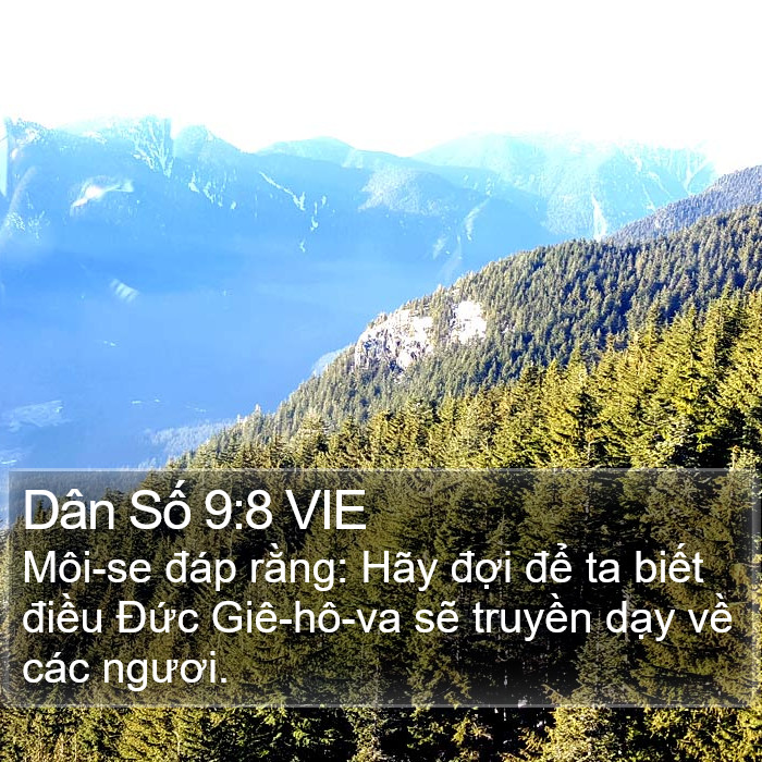 Dân Số 9:8 VIE Bible Study