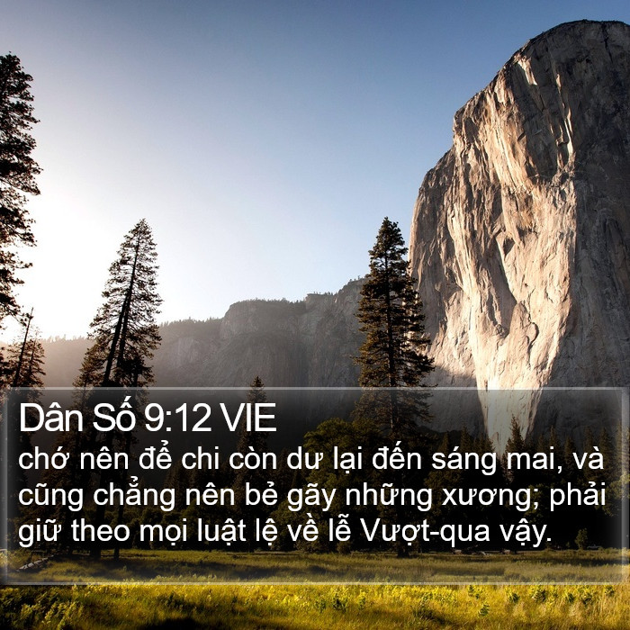 Dân Số 9:12 VIE Bible Study