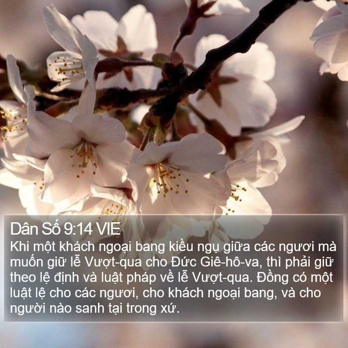 Dân Số 9:14 VIE Bible Study