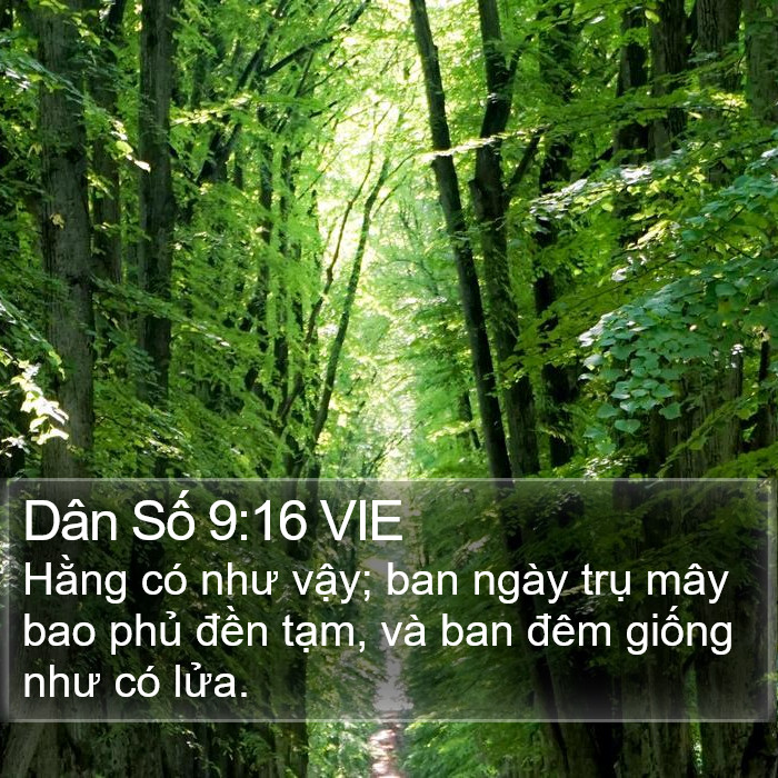 Dân Số 9:16 VIE Bible Study