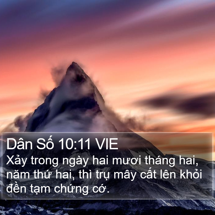 Dân Số 10:11 VIE Bible Study