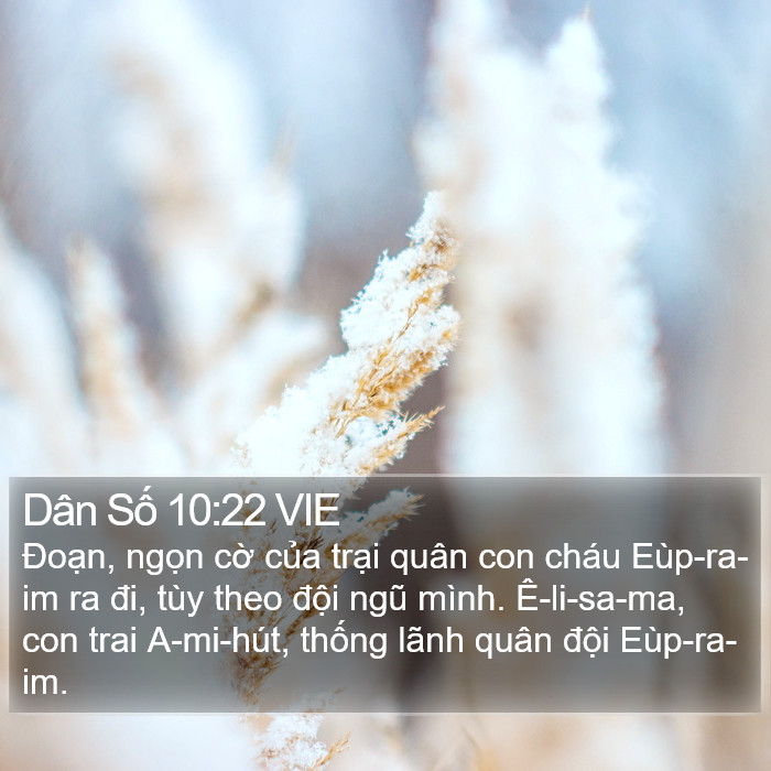 Dân Số 10:22 VIE Bible Study