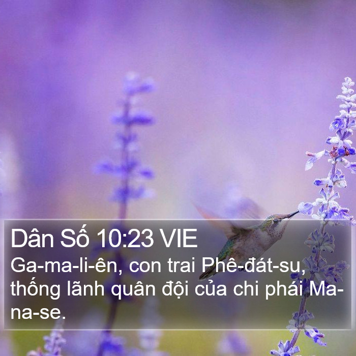 Dân Số 10:23 VIE Bible Study