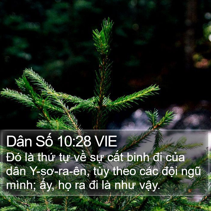 Dân Số 10:28 VIE Bible Study