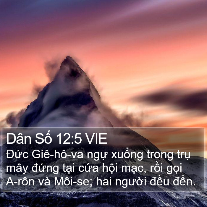 Dân Số 12:5 VIE Bible Study