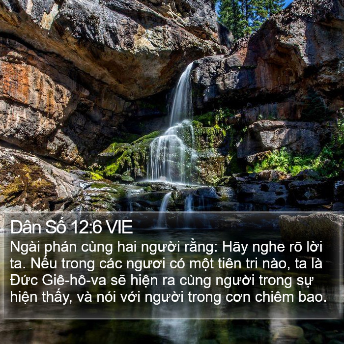 Dân Số 12:6 VIE Bible Study