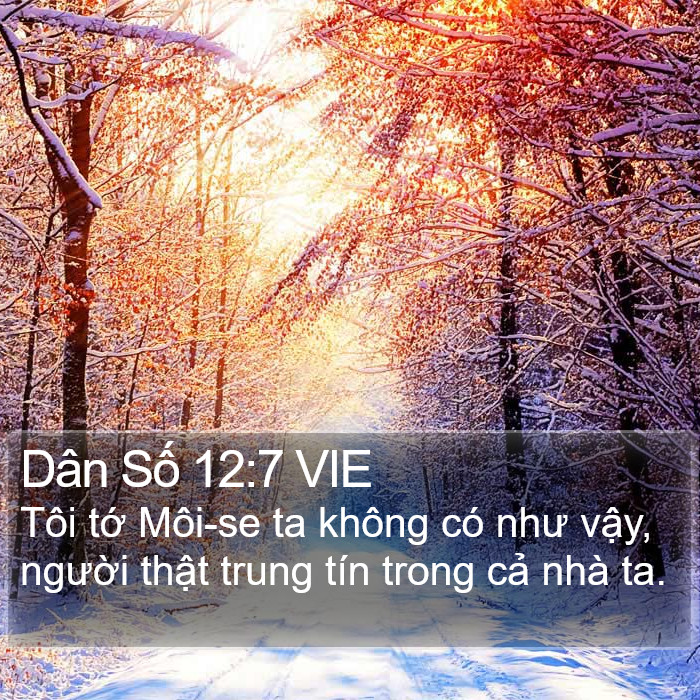 Dân Số 12:7 VIE Bible Study