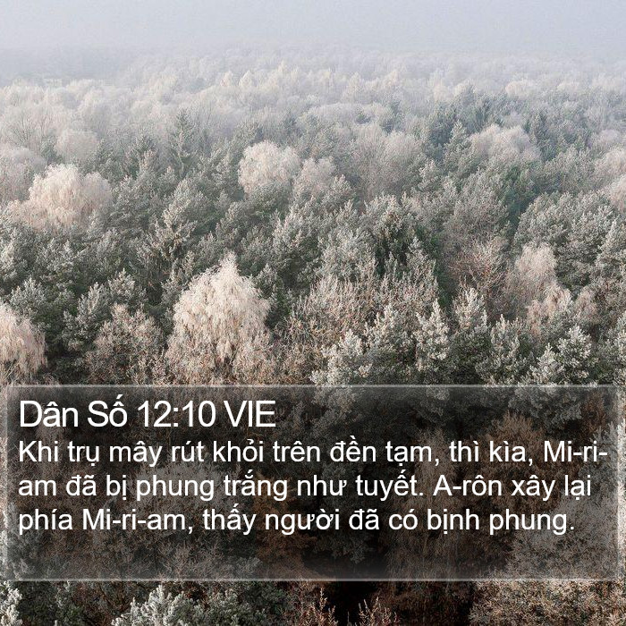 Dân Số 12:10 VIE Bible Study