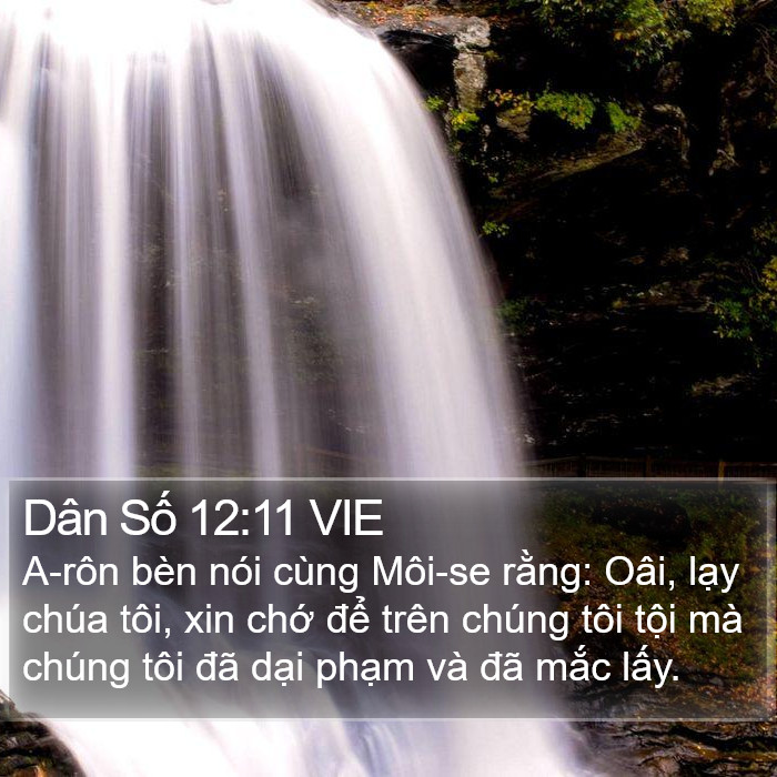 Dân Số 12:11 VIE Bible Study