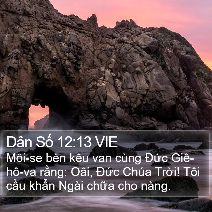 Dân Số 12:13 VIE Bible Study