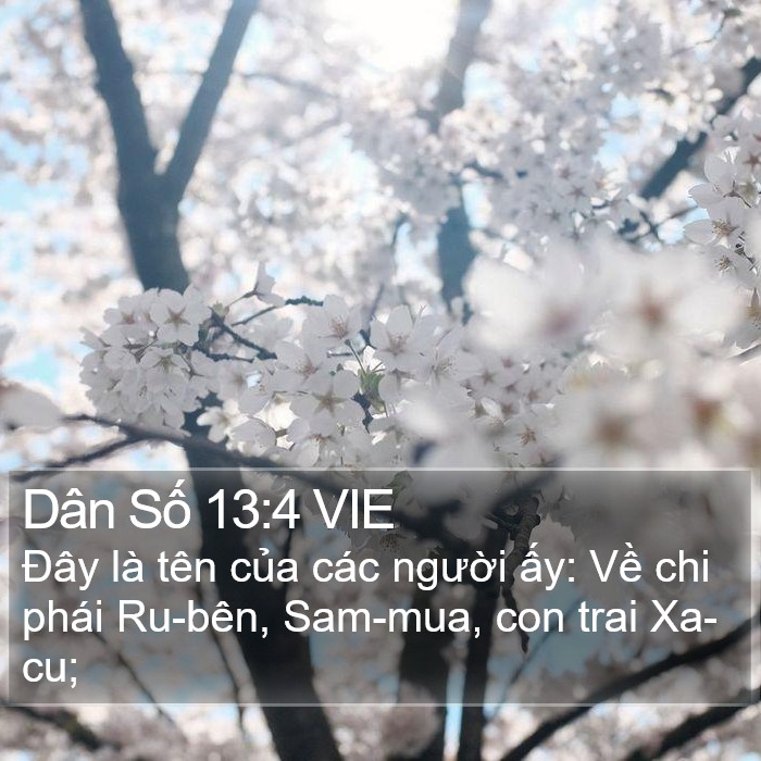 Dân Số 13:4 VIE Bible Study