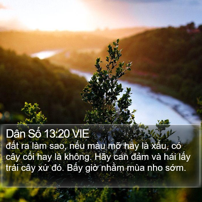 Dân Số 13:20 VIE Bible Study