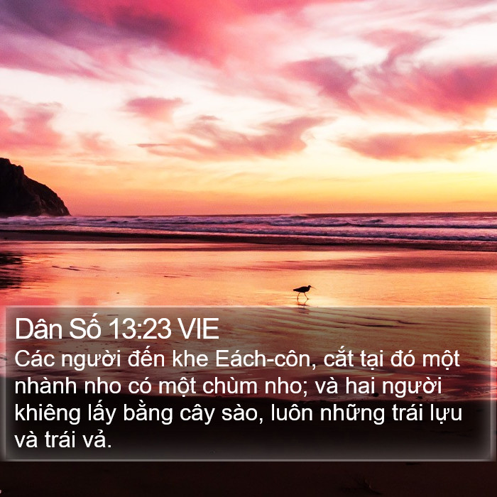 Dân Số 13:23 VIE Bible Study