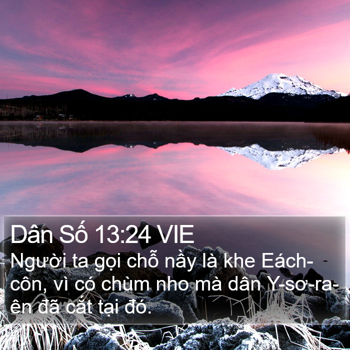 Dân Số 13:24 VIE Bible Study