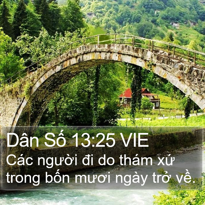 Dân Số 13:25 VIE Bible Study