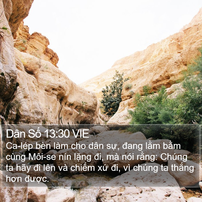 Dân Số 13:30 VIE Bible Study