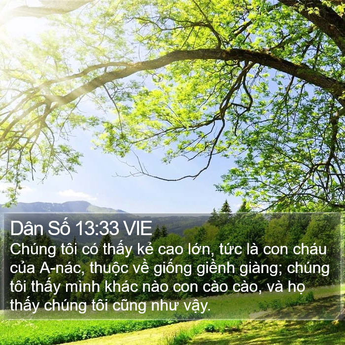 Dân Số 13:33 VIE Bible Study