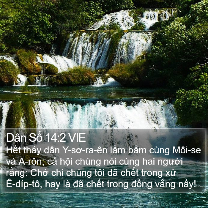 Dân Số 14:2 VIE Bible Study