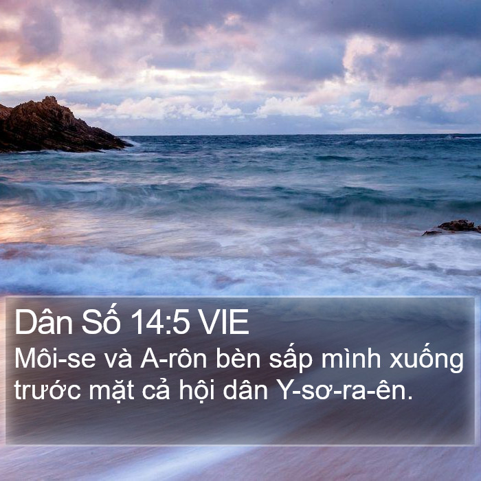 Dân Số 14:5 VIE Bible Study