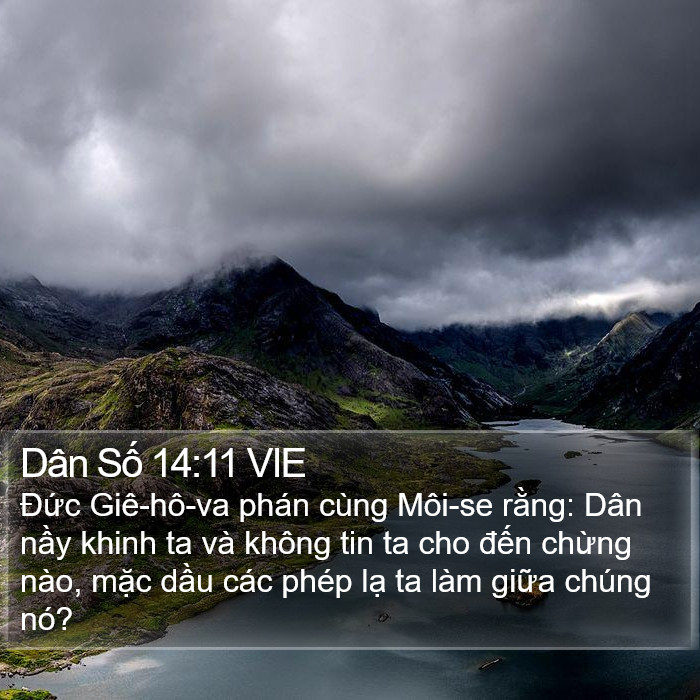 Dân Số 14:11 VIE Bible Study