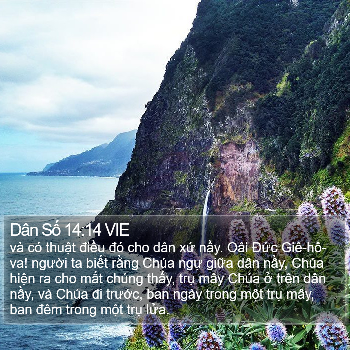 Dân Số 14:14 VIE Bible Study