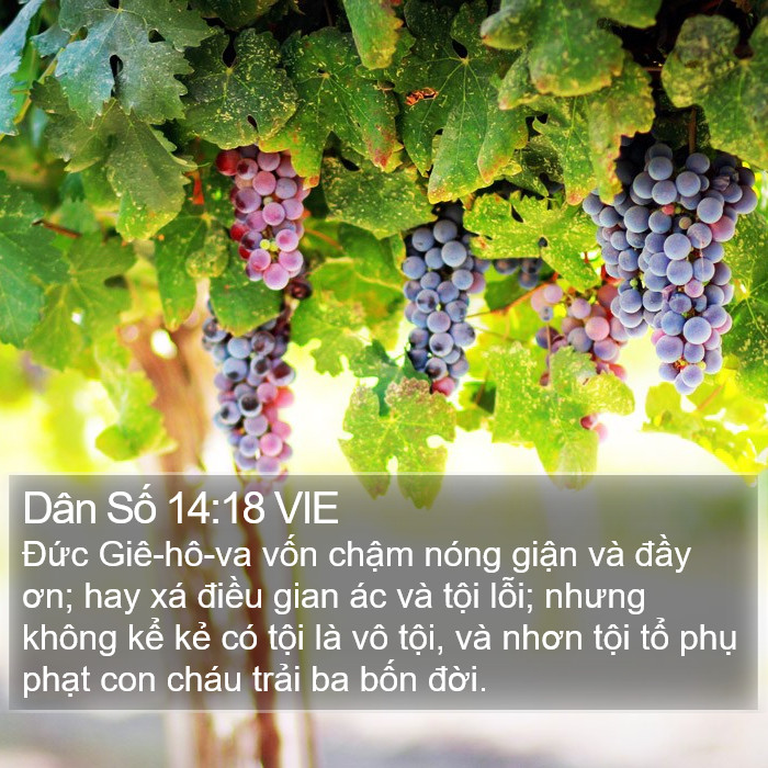 Dân Số 14:18 VIE Bible Study