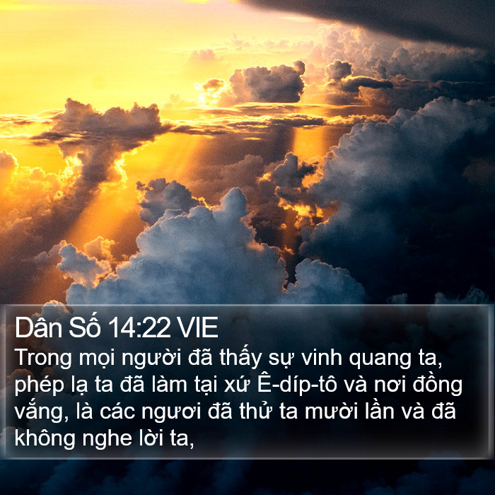 Dân Số 14:22 VIE Bible Study