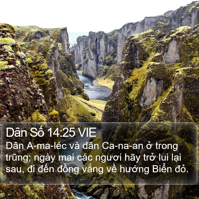 Dân Số 14:25 VIE Bible Study