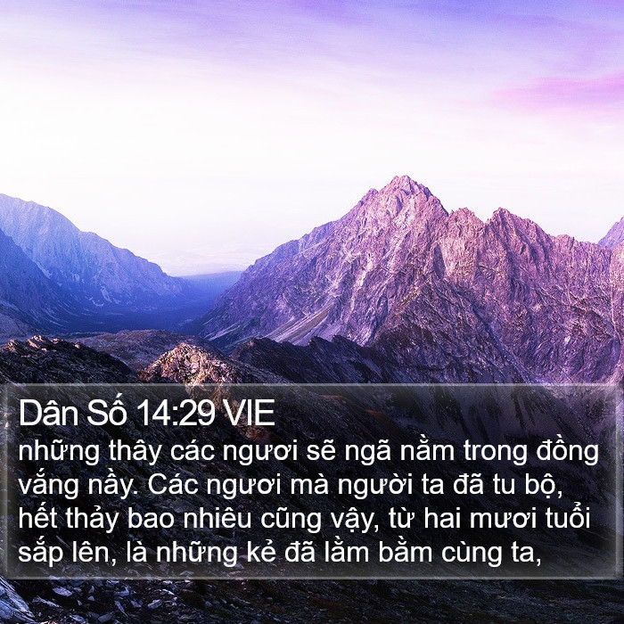 Dân Số 14:29 VIE Bible Study