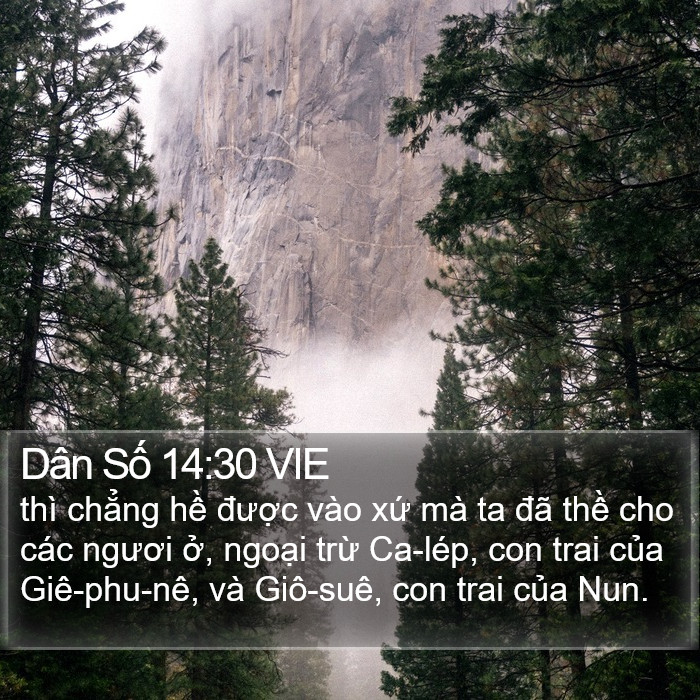 Dân Số 14:30 VIE Bible Study