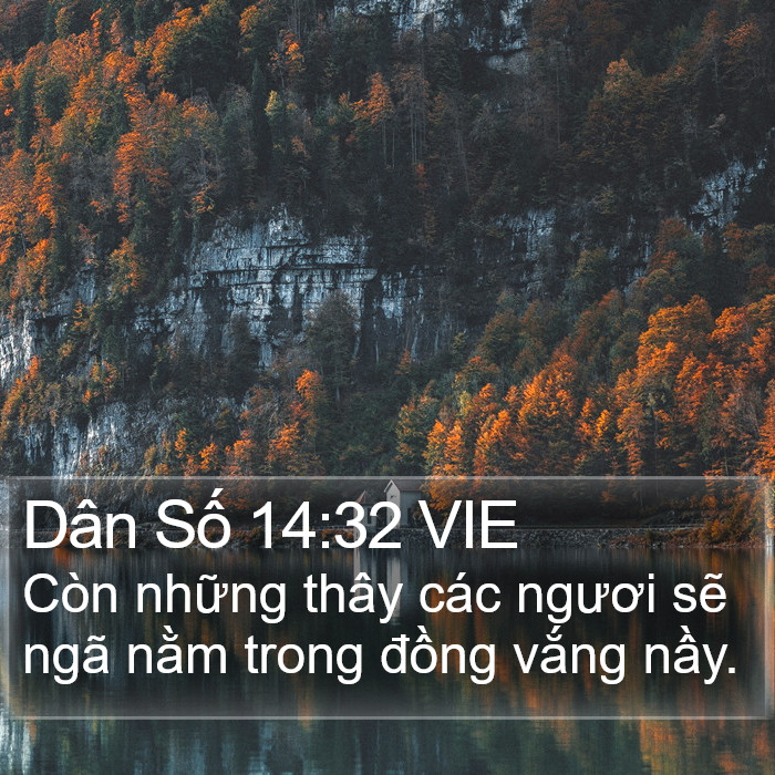 Dân Số 14:32 VIE Bible Study