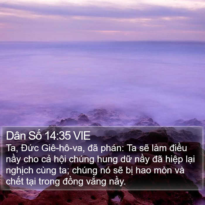 Dân Số 14:35 VIE Bible Study