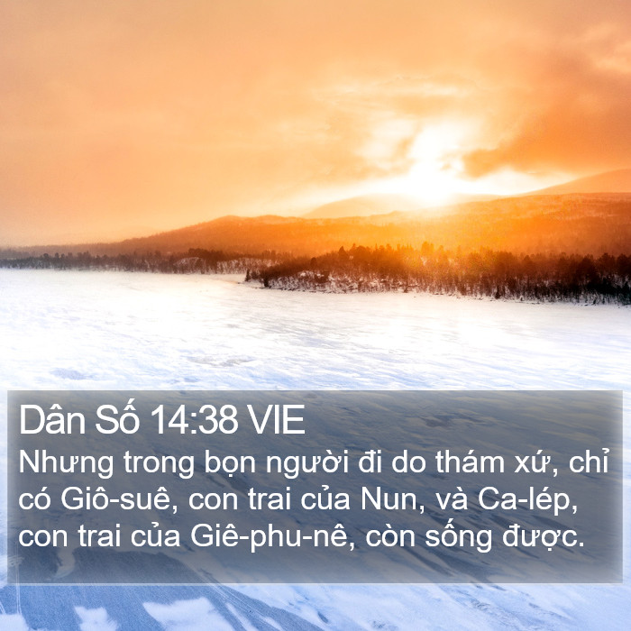 Dân Số 14:38 VIE Bible Study