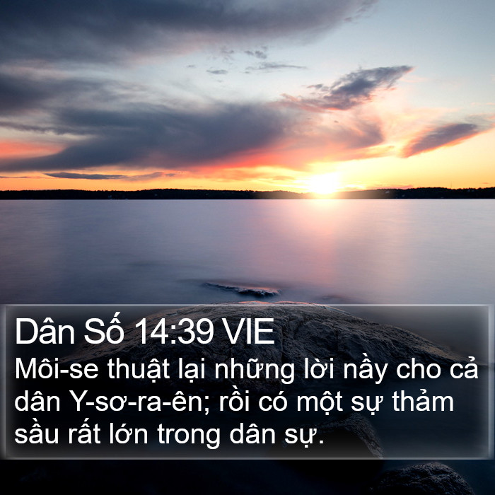 Dân Số 14:39 VIE Bible Study