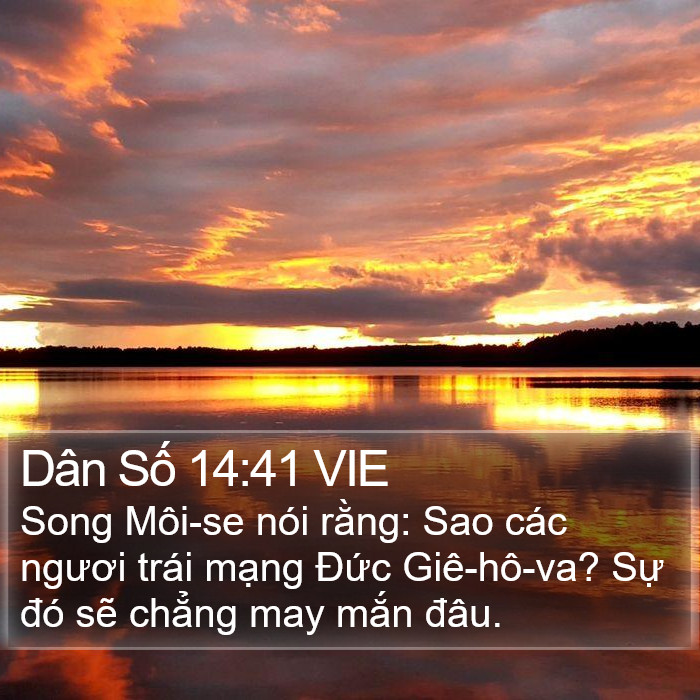 Dân Số 14:41 VIE Bible Study