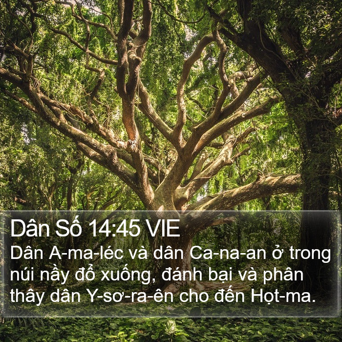 Dân Số 14:45 VIE Bible Study