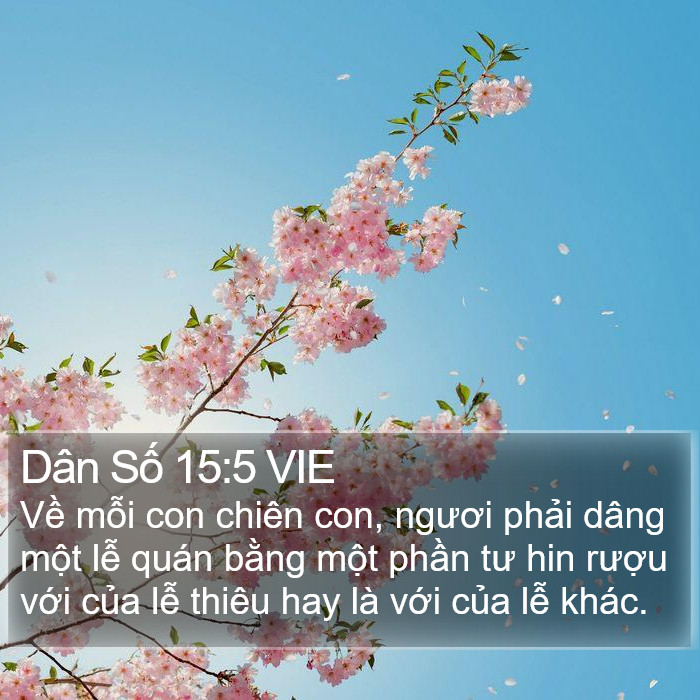 Dân Số 15:5 VIE Bible Study